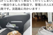 【悲報】おっさん、高速のSAで飼い猫が脱走→そのまま旅行を続行して炎上ｗｗｗｗ