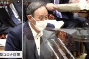 【動画】蓮舫「これはどうですか？」 菅総理「なんたらかんたら」蓮舫「やだ！止めて！」 国会ざわざわ