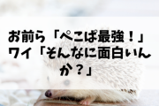 お前ら「ぺこぱめっちゃ面白い」「ぺこぱ面白すぎ」「ぺこぱ最強！」ワイ「そんなに面白いんか？」 →