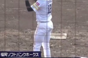 ソフトバンク育成の尾形のピッチングw