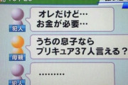 【画像】詐欺師「オレだけど、金が必要なんだ」母親「ふーん、ほなプリキュア37人言ってみぃ」