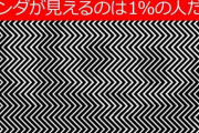パンダがみえたら病気らしい