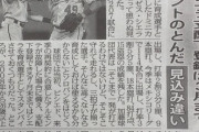 【朗報】中日ドラゴンズさん、今オフも大暴れし無事主役へ…