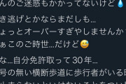 【栃木】アイリスオーヤマの社用車が横断歩道で停車中の前の車を路肩から抜き去る動画に「何がダメかわからん」とほざく頭のおかしいジジイ共がうようよ湧く事態に