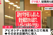石川県加賀市のショッピングセンターにクマが逃げ込み、立てこもり