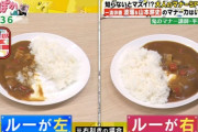 【悲報】カレーを食べる時のマナー、ガチで難しい。どっちが正解なの？