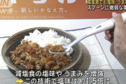 旨味や塩味を増強するスプーン「エレキソルト」発売　予約受付中