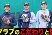 【動画】今宮と源田と吉川のグローブ談義