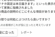 彡(^)(^)「お、このうつ伏せクッションええやん、注文しよ！」echoshow「オ〇ホ固定は本日届きます」