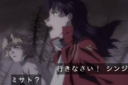 第10使徒にやられるシンジくんを観たワイ「いつものエヴァか・・・」 シンジ「綾波を・・・返せッ！」