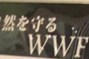 「けものフレンズ３ LIVE」のライブ会場でWWFのムービーが大画面で流れる