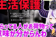 Vtuber「生活保護はなぜ叩かれるんだろ」