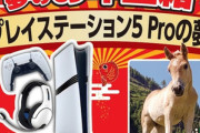 ヨドバシカメラの福袋｢PS5の夢｣｢PS5 Proの夢｣応募する？｢Switch2の夢｣は無し