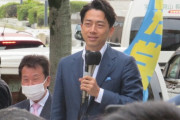 【悲報】小泉進次郎「息子が18になる頃にはガソリン車がなくなる」 ←選挙カー何に乗るか楽しみだねｗｗｗｗｗｗｗ
