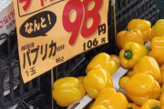 韓国人「韓国の野菜の高騰は何か裏があるはずだ　その理由は」