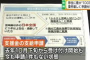 宮崎県「宮崎に移住してくれたら100万円あげるよ！」→申請者ゼロ