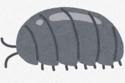 ダンゴムシって結構凄くて、山の落ち葉を食べてくれるらしいな。