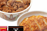 【議論】牛丼vsカツ丼←食べるならどっち！？