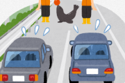 【動画あり】高速道路に野生のアシカが出没！？　善良なドライバーに誘導され無事道路を渡り切る　アメリカ