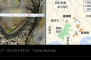 超巨大ヒグマ「OSO18」に騒然…地元住民がもっとも恐れる「ヤバすぎる事態」 どこにいるのか、分からない　北海道