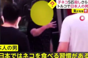【悲報】トルコで猫を食った日本人「日本ではネコを食べる習慣がある」と主張。