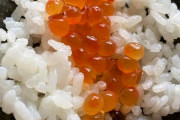 【ドカ食い気絶部】ワイニート、昼から一人で手巻き寿司??