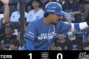 【vs.ロッテ】日ハム、2回に奈良間のタイムリーで1点先制！