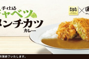 【画像あり】カツカレーの正解ってこれよな？🥺🍛