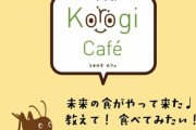 敷島製パン､コオロギパウダー入りパン･お菓子めぐり対応苦慮  デマや陰謀論を流したやつに法的措置検討