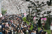 花見激混み！