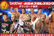 心無い者達「プロレスはヤラせ！」ワイ「では8mの高さから頭から垂直に落ちたら？」