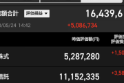 インデックス投資(長期的に上がる、リスク低い、利回りそこそこ)⇽これの欠点が見当たらない件