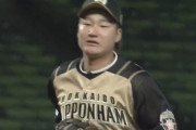 【開幕戦vs西武】日ハム渡邉、好プレー！