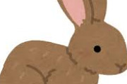 （ヽ´ん`）「うさぎさん飼って癒やされたいゾ」
