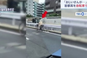 首都高速を自転車が爆走  警察官が駆けつけ保護