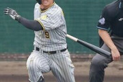 【悲報】阪神タイガース髙山俊、一軍キャンプメンバーの野手で唯一紅白戦スタメンから外れた模様