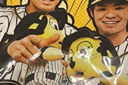 【朗報】規定打席到達の阪神タイガースドラ6中野拓夢くん(26)の成績шшшшшшшшшшшшшшш
