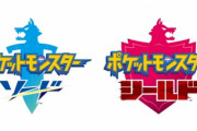 ポケモンさん「切断バグ対策したいけど技術力がなくてできない…せや！」