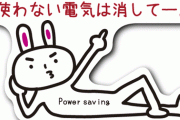 節電の為に何かやっていますか？