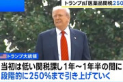 トランプ｢医薬品の関税は1年～1年半以内に150%､最終的に250%になる｣｢半導体関税は近日発表｣｢インドへの関税は24時間以内に大幅引き上げ｣