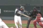 【GIF】今日の西武川越のホームランｗｗｗｗ