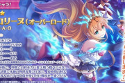 【悲報】プリコネさん、最大の切り札4周年限定ペコリーヌで胸の谷間を隠す痛恨のミスw