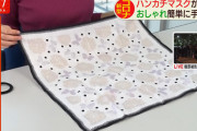 【画像あり】ハンカチをマスク代わりにした可愛い女さん、なぜか変態みたいになってしまう