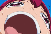 【プリキュア】これコラじゃなかったのかよ・・・