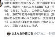 【N国党】丸山穂高議員、見事な切り返しで古谷経衡さんを論破wwww