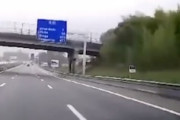 「わあっ！」高速道路走行中の危機を猫の反射神経で回避した運転手のGJ動画。
