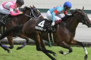 【競馬予想】第27回ファンタジーステークス(GⅢ) /2022