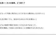 【賛否】今なお続く「子ども用ハーネス」論争…親同士で“苦言”も「ハーネスつけて目を離す親は迷惑」