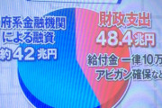 池上彰の番組の円グラフ、48兆円より42兆円のほうが大きい
