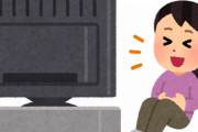 年末ガキの使い笑ってはいけない◯◯シリーズで確実に要らない企画